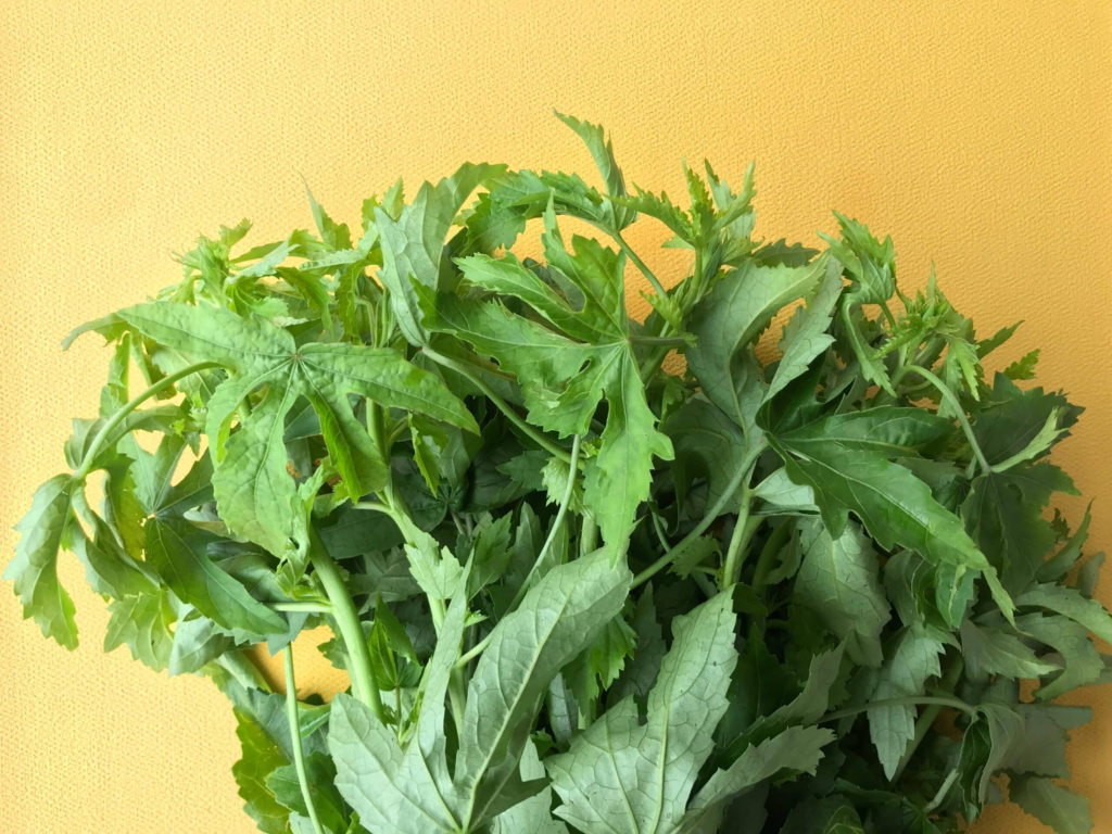 Gongura Leaves