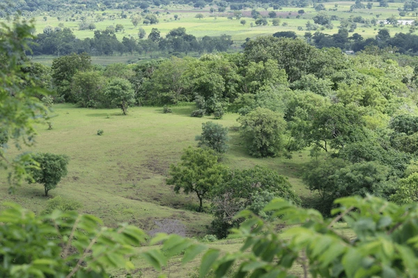 Vikarabad Anantagiri Hills